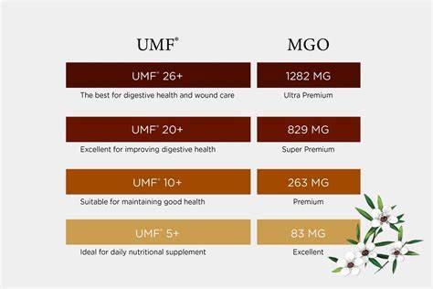 MGO vs UMF Infografik: Qualitätskennzahlen und Umrechnung