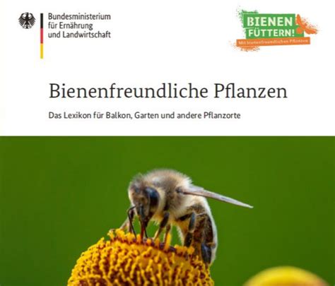 Maßnahmen für den Bienenschutz: Bienenfreundliche Pflanzen und Lebensräume