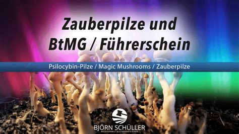 Magic Trüffel und Psilocybin: Molekülstruktur und Sortenvergleich