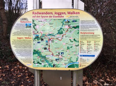Maifeld-Radweg zur Holunderblüte, blühende Büsche entlang der Trasse