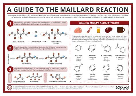 Maillard-Reaktion beim Backen von Keksen (Infografik)