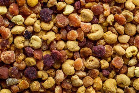 Makroaufnahme von Bienenpollen und Bienenbrot