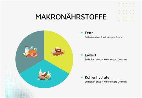 Makronährstoff-Verteilung in Schokoladenkeksen