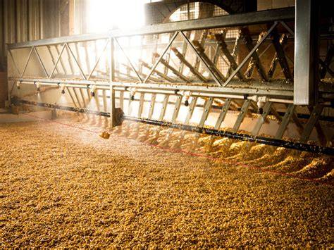Malting Floor zur Gerstenmalzung
