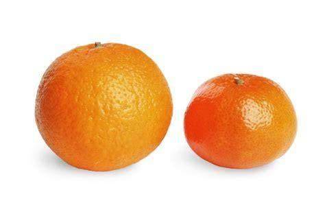Mandarinen und Orangen aufgeschnitten