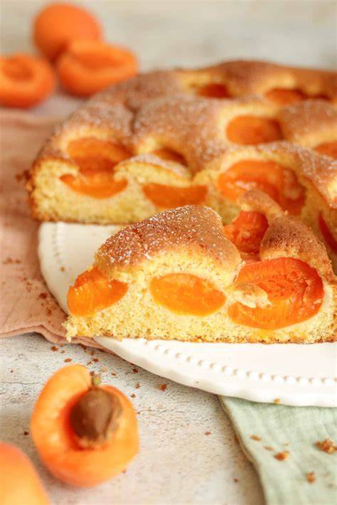 Mandelböden in der Springform, frisch gebacken und auf Kuchengitter