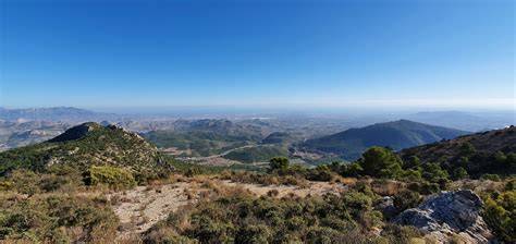 Mandelernte in südlichen Regionen, insbesondere rund um Alicante