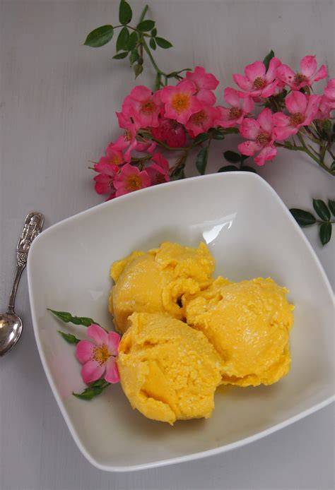 Mango Kokos Eis ohne Zucker - zwei Zutaten