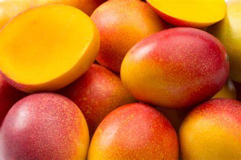 Mango Schokoladenkuchen als Schnittbild, frische Mangos und Zartbitterschokolade daneben