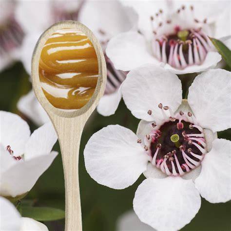 Manuka Honey honey spoon with dark honey and flowers