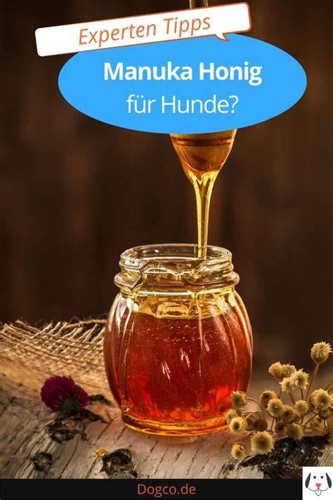 Manuka Honig für Hunde: neuseeländische Landschaft mit Manuka-Sträuchern und Bienenstock