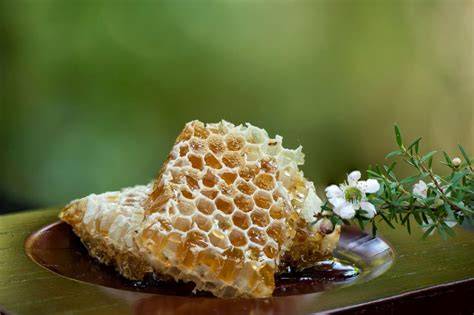 Manuka-Blüten und Honigwabe
