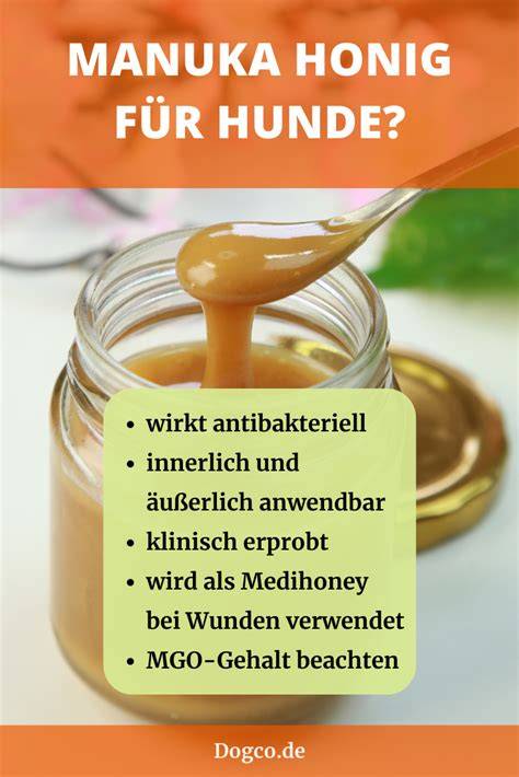 Manuka-Honig: antibakterielle Wirkung auf Bakterien