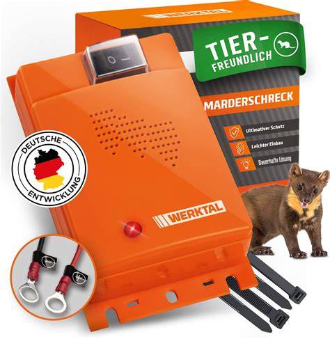 Marderschutz im Wohngebiet (Infografik)