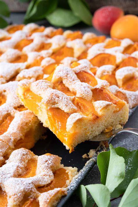 Marillenkuchen-Stück, Sommer-Stimmung, Picknick mit Marillenkuchen