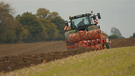 Marktanteile und Schokoladenproduktion in Frankreich