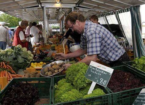 Marktstand mit frischem Rhabarber, Erdbeeren und saisonalen Früchten im Frühling