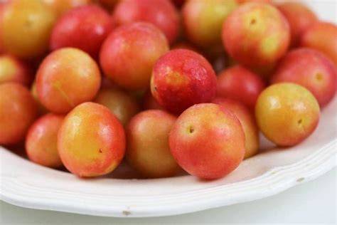 Marktstand mit frischen Mirabellen zur Erntezeit