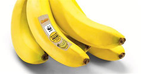 Markttag-Bananen bei Netto: Produktpräsentation mit WWF-Logo