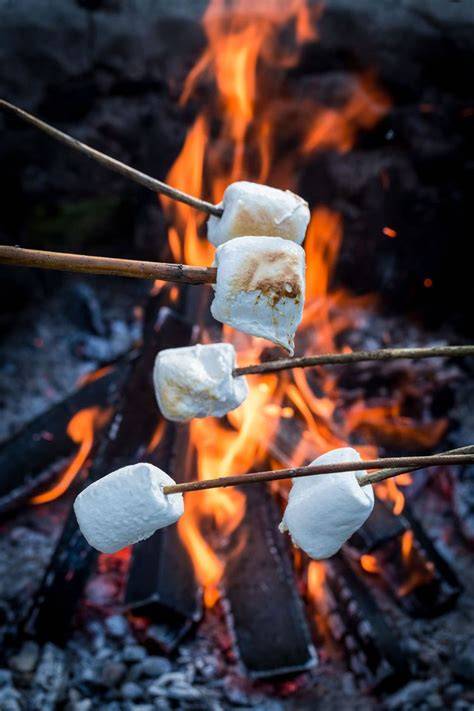 Marshmallows am Lagerfeuer