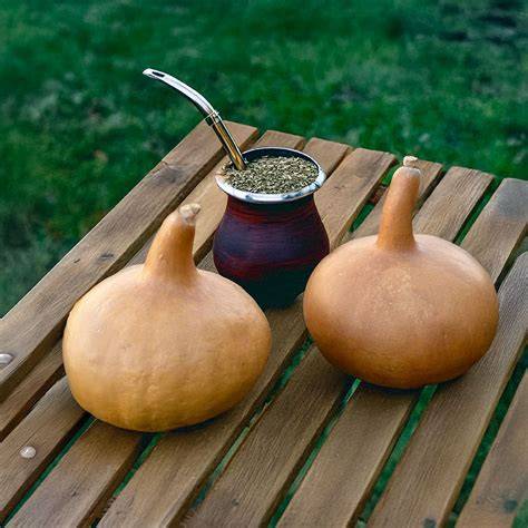 Mate Einsteiger-Set Calabaza Beige