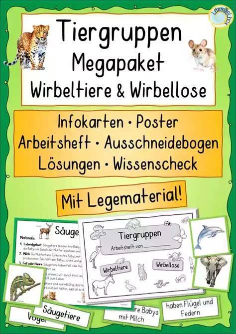 Materialtisch einer Schokoladen-Miniwerkstatt mit Infokarten und Arbeitsheft