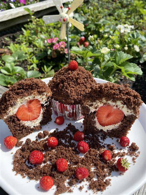 Maulwurfkuchen-Varianten: Muffins, Erdbeer-Maulwurfkuchen, festliche Dekoideen