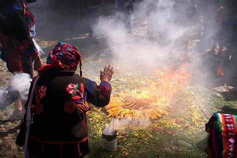 Maya Zeremonie mit Zauberpilzen