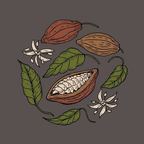 Maya-Zeremonie mit Kakao - historische Illustration