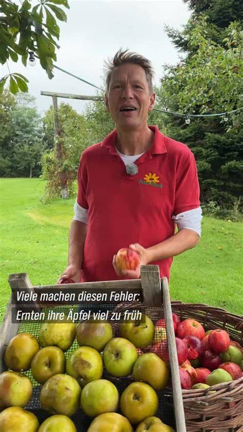 Mazeration über mehrere Tage: Früchte in Ruhe
