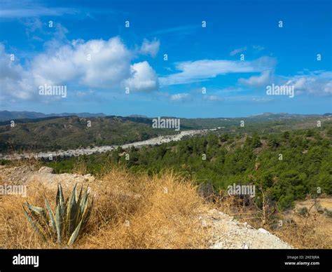 Mediterrane Landschaft mit Eichenwäldern und Trüffelsuchenden
