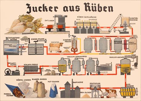 Meilensteine der Zuckerherstellung und -nutzung