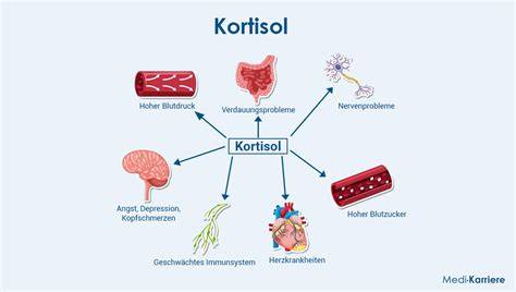 Menthol-Molekül und Wirkung auf Kälterezeptoren