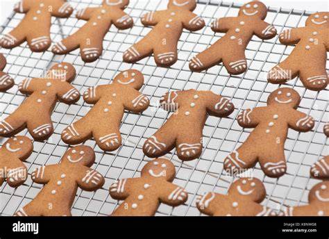 Meterlanger Lebkuchen auf Gitter, frisch gebacken