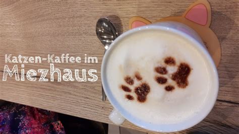 Miezhaus Café: Gäste trinken Kaffee, Katzen auf Sesseln