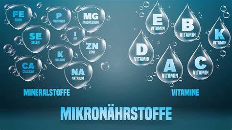 Mikronährstoffe - Bedeutung in der Diabetes-Therapie