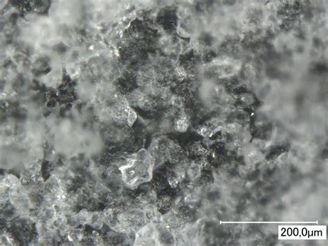 Mikroskopische Aufnahme: CSH-Nadeln und gehemmt wachsende Phasen bei Zuckeradsorption