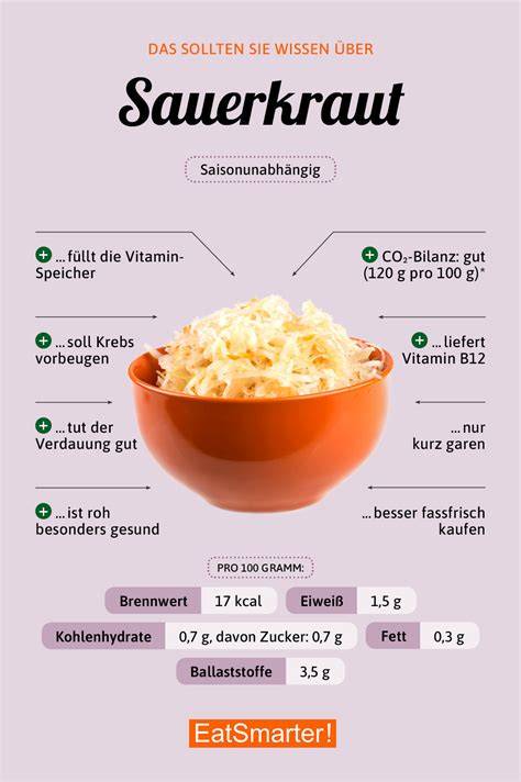 Milchsäuregärung im Sauerkraut - Infografik