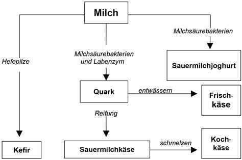 Milchsäuregärung in Milchprodukten schematisch