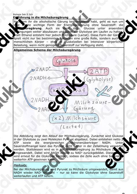 Milchsäuregärung schematisch