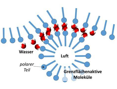 Milchschaum Struktur und Mikroschaum-Infografik
