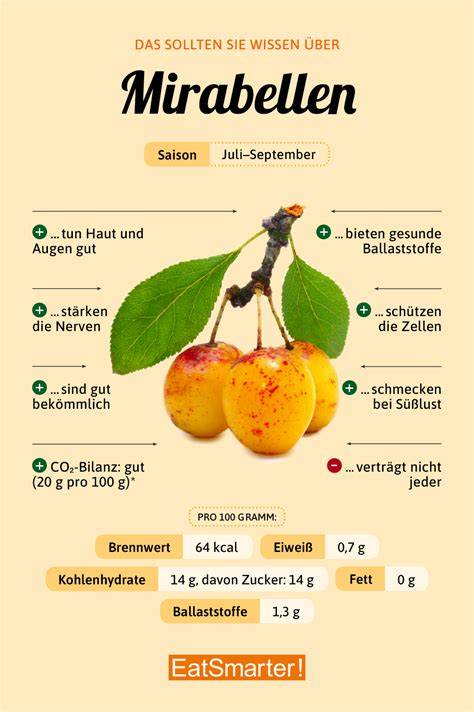 Mirabellen Zimtschneckenboden - Schema