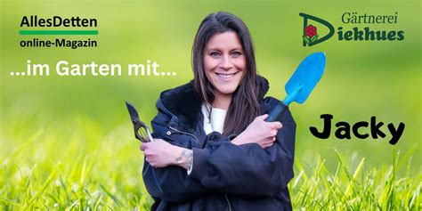 Mirabellenpflücker im Garten