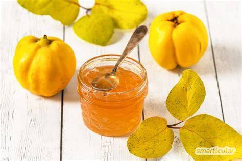 Mispelmarmelade mit Quitten - kreative Wildobstmischung