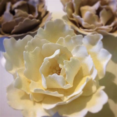 Modellierte Zuckerblumen aus Blütenpaste