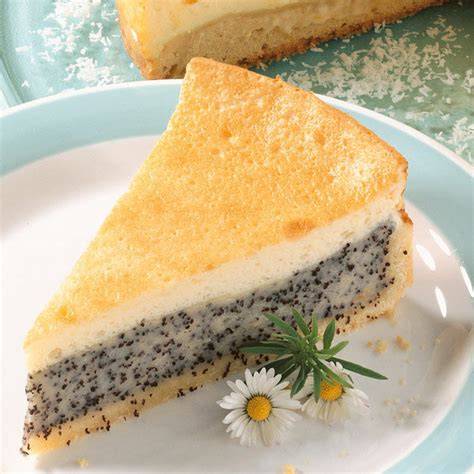 Mohn Schmand Kuchen auf Springform mit Puderzucker bestäubt