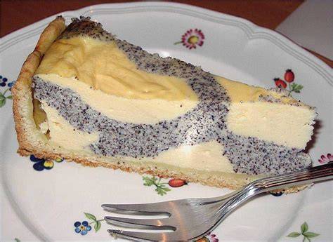 Mohn-Quark-Kuchen mit Vanille und Chia-Samen als Puddingpulver-Ersatz
