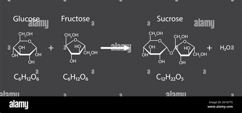 Molekülstrukturen von Glukose, Fruktose und Saccharose