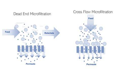 Molkenprotein-Mikrofiltration Schema