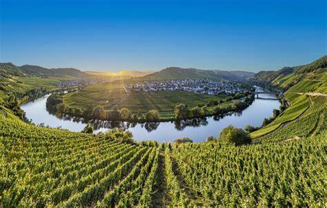 Mosel-Region mit Weinbergen - Ursprung des Weins für dieses Dessert